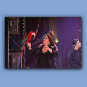 pwc-24-12-21-094.jpg