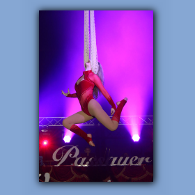 pwc-24-12-27-073.jpg
